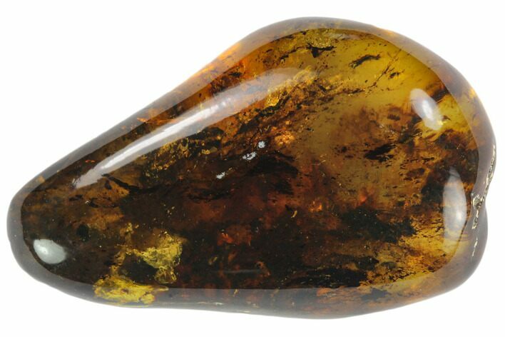 Polished Chiapas Amber ( g) - Mexico #114821